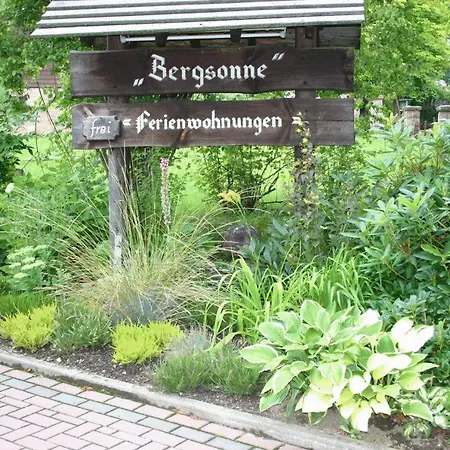 Haus Bergsonne Apartment Braunlage